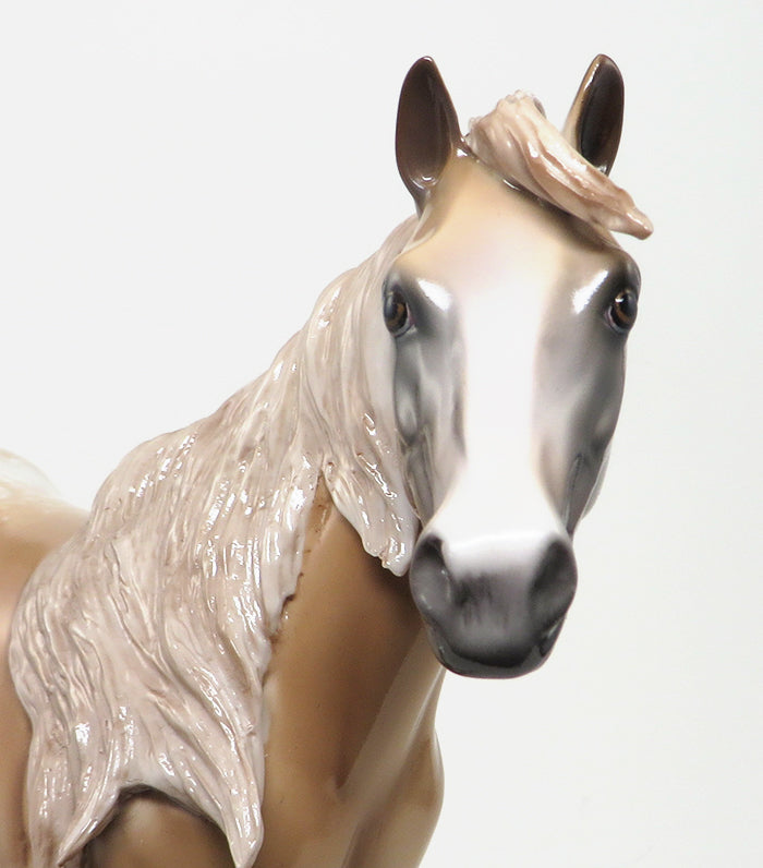 SHOSHONEE - OOAK Light Chestnut Appaloosa ISH - 9/4