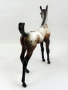 foal