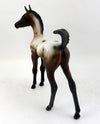 appaloosa