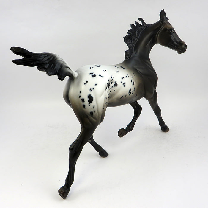 Appaloosa