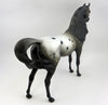 Appaloosa