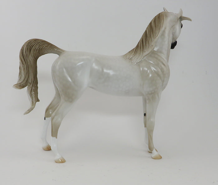 TIMBERLAKE - OOAK BLACK APPALOOSA - ISH - 9/30