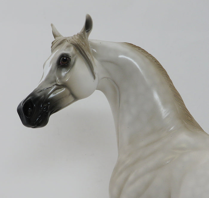 TIMBERLAKE - OOAK BLACK APPALOOSA - ISH - 9/30