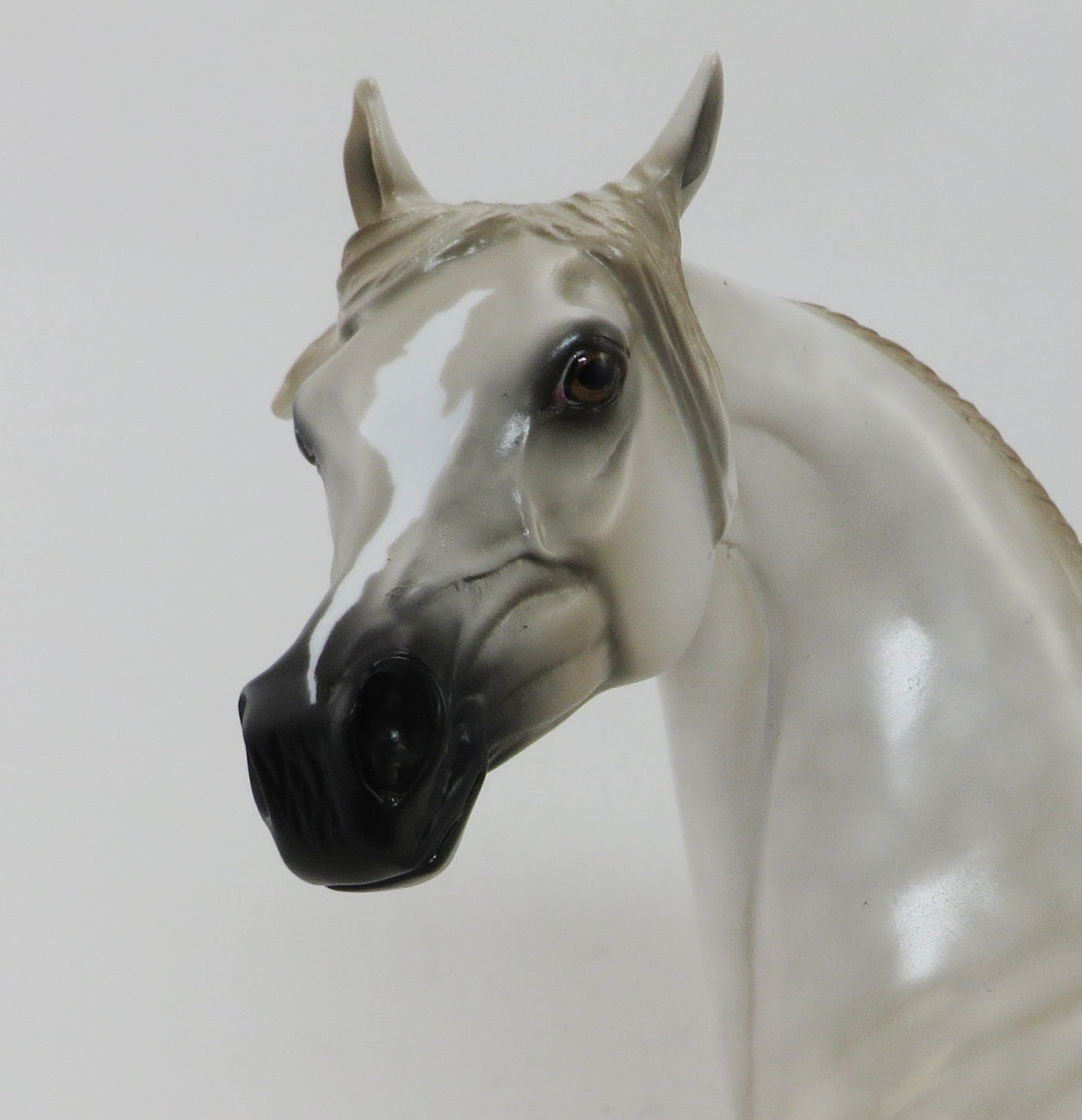 TIMBERLAKE - OOAK BLACK APPALOOSA - ISH - 9/30
