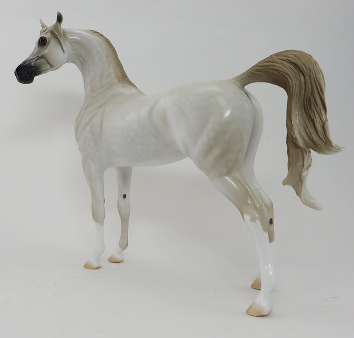 ELIZABETA-WHITE-ARABIAN-OOAK 9/29