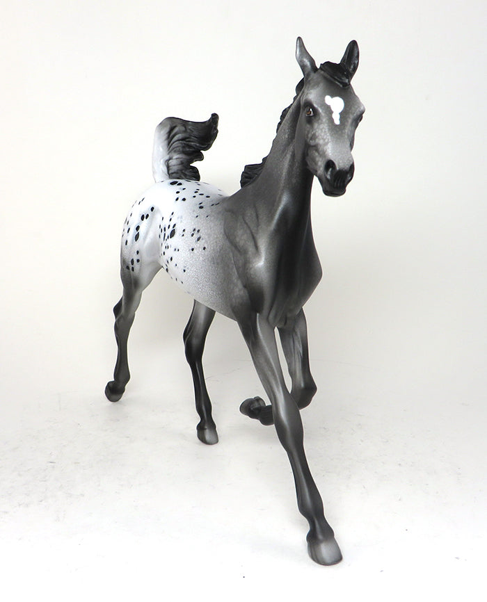 MIA GECCO - OOAK BLACK APPALOOSA YEARLING HORSE - 12/4