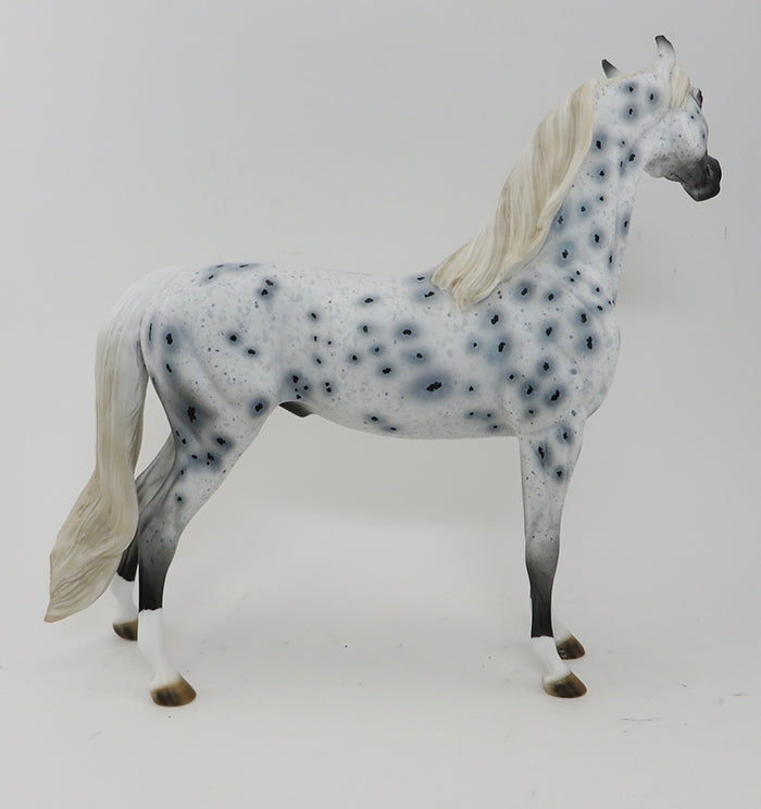 DASH FOR CASH - OOAK APPALOOSA ARABIAN HORSE - 9/30