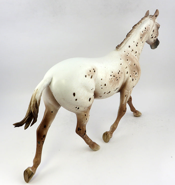 Appaloosa