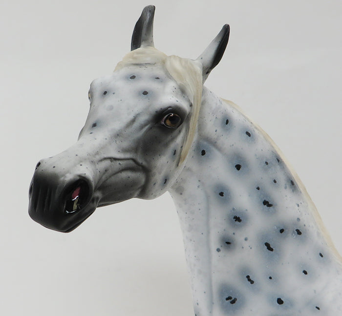 DASH FOR CASH - OOAK APPALOOSA ARABIAN HORSE - 9/30