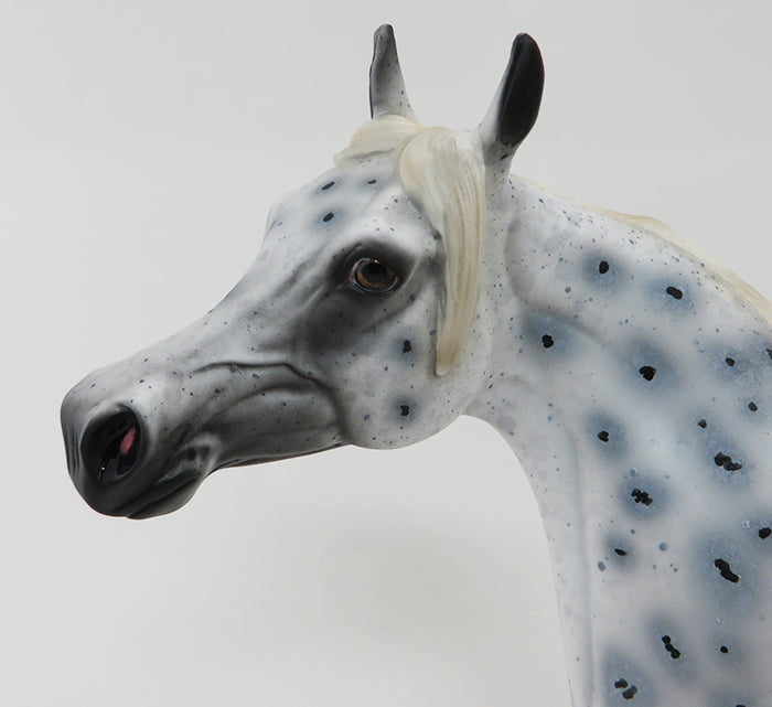 DASH FOR CASH - OOAK APPALOOSA ARABIAN HORSE - 9/30