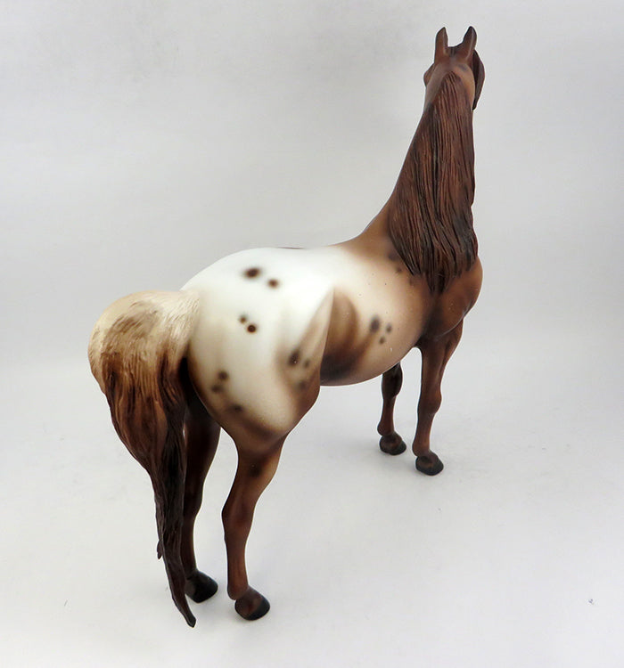 Appaloosa
