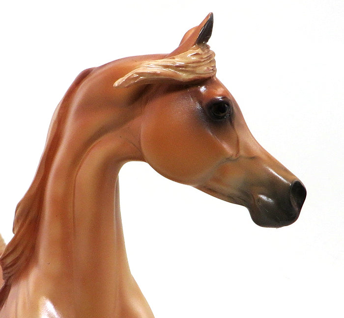 NINA- LIGHT CHESTNUT-ARABIAN-OOAK 9/30