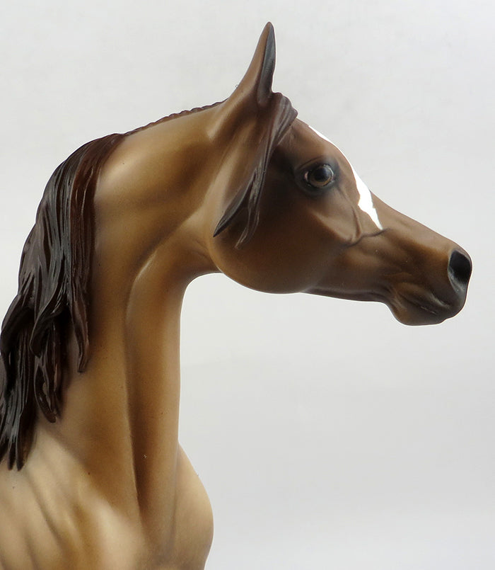 Custom Mane &amp; Forelock