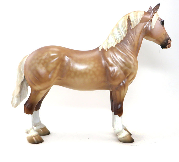 CHARITY-  DAPPLE BELGIAN- DRAFTER-OOAK- 10/1