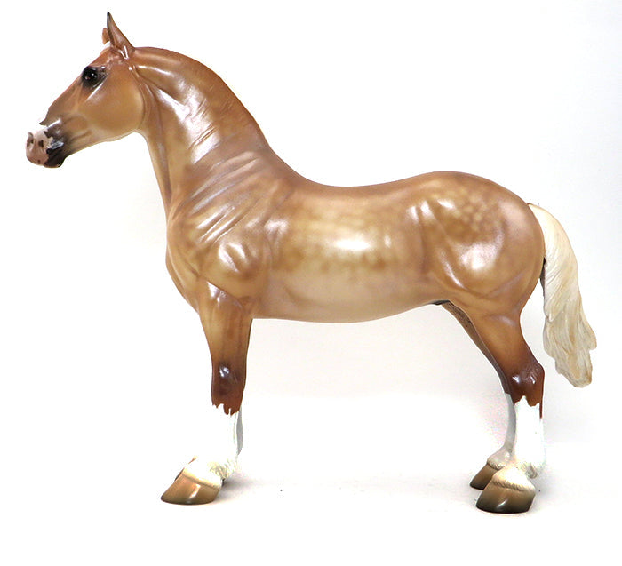 CHARITY-  DAPPLE BELGIAN- DRAFTER-OOAK- 10/1