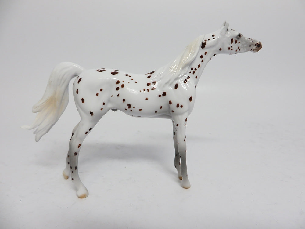 YULETIDE-LE-4 BROWN SPECKLED APPALOOSA ARABIAN CHIP WHS 2017