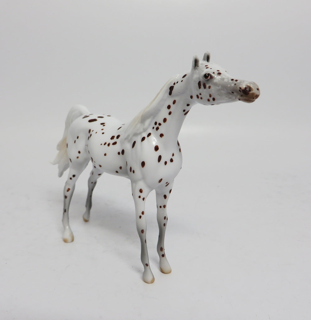 YULETIDE-LE-4 BROWN SPECKLED APPALOOSA ARABIAN CHIP WHS 2017