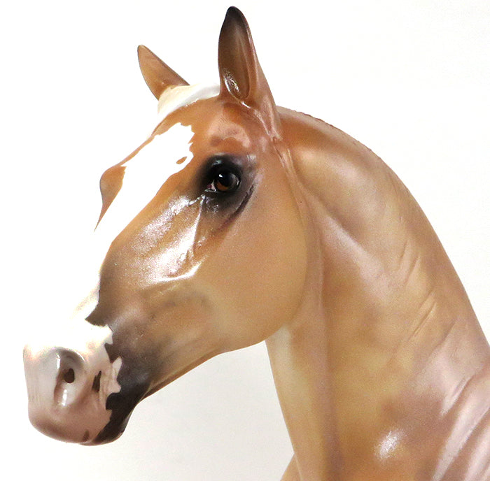 CHARITY-  DAPPLE BELGIAN- DRAFTER-OOAK- 10/1