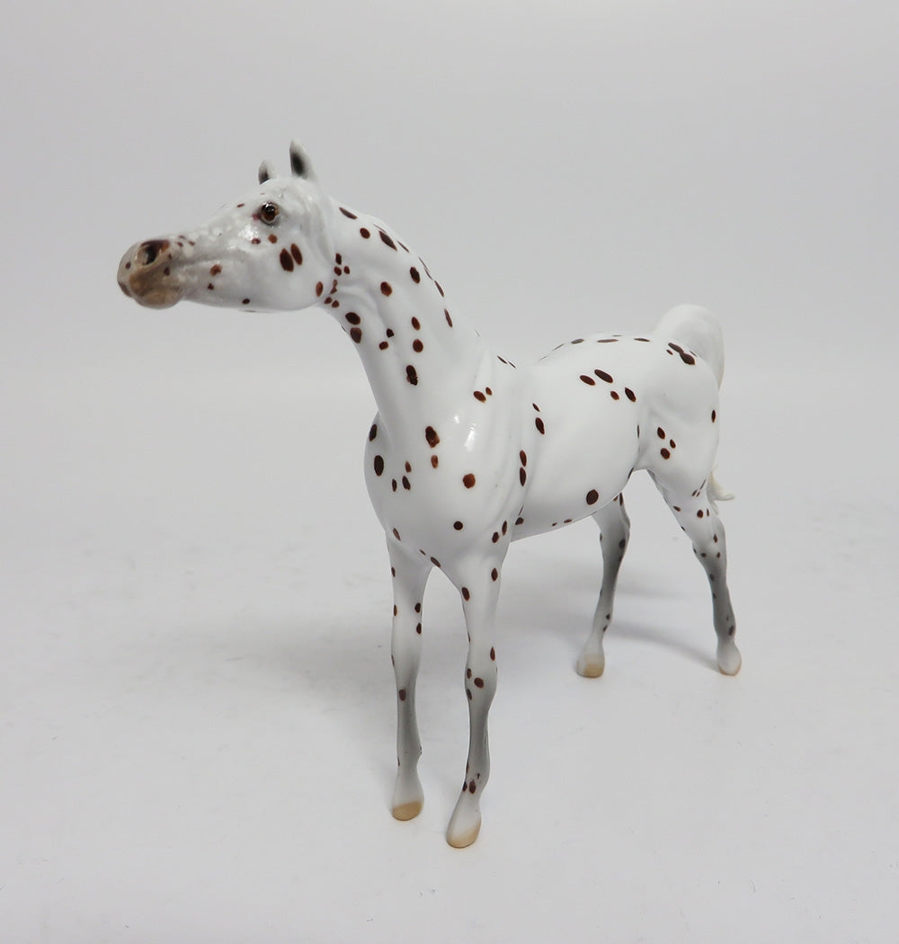YULETIDE-LE-4 BROWN SPECKLED APPALOOSA ARABIAN CHIP WHS 2017