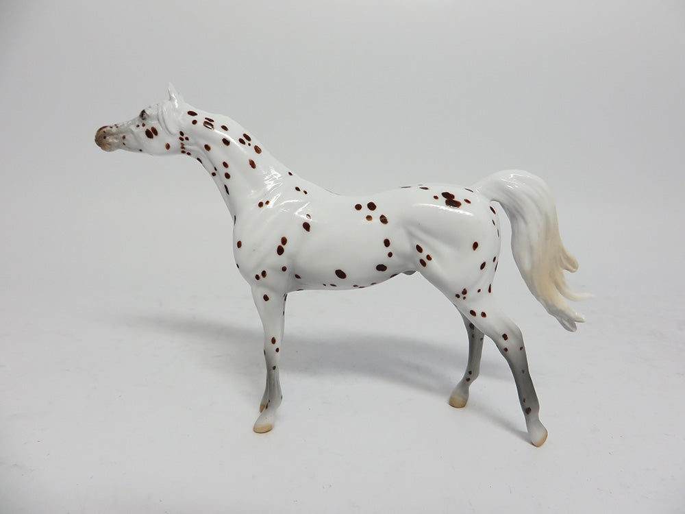 YULETIDE-LE-4 BROWN SPECKLED APPALOOSA ARABIAN CHIP WHS 2017