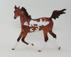 CHESTNUT PINTO