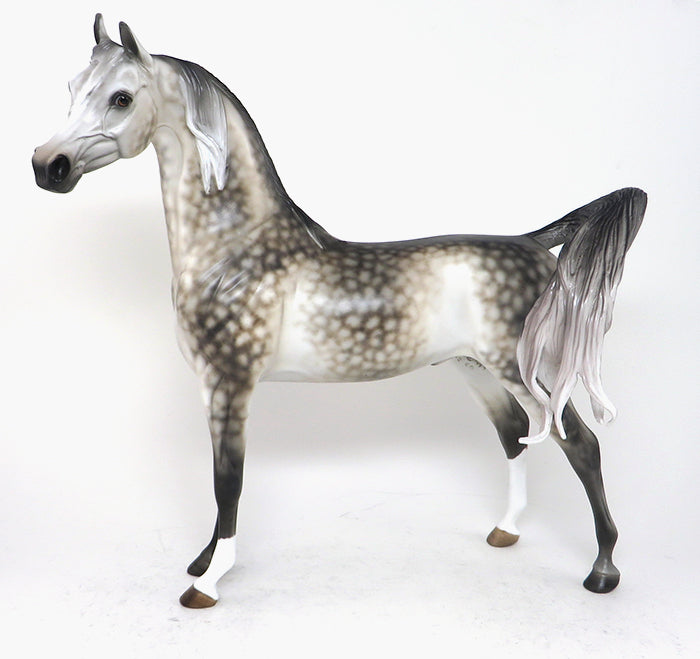 BEAUTY REVEALED - OOAK DAPPLE GREY ARABIAN MODEL HORSE - 12/4