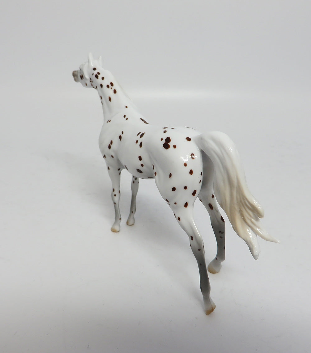 YULETIDE-LE-4 BROWN SPECKLED APPALOOSA ARABIAN CHIP WHS 2017