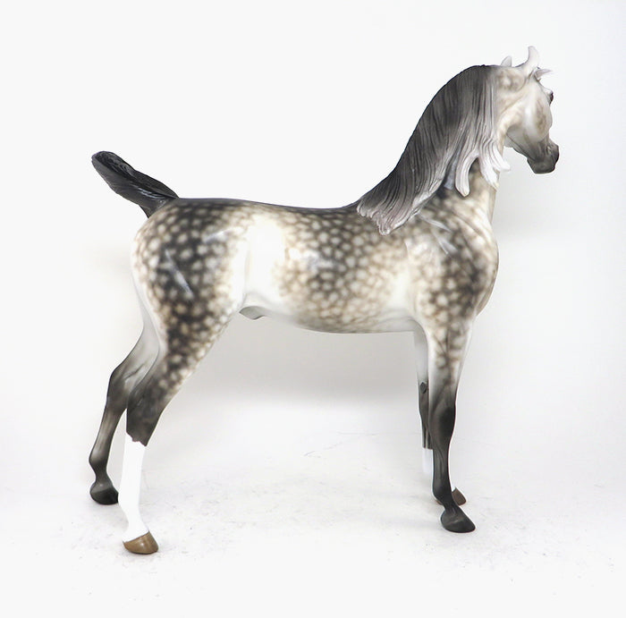 BEAUTY REVEALED - OOAK DAPPLE GREY ARABIAN MODEL HORSE - 12/4