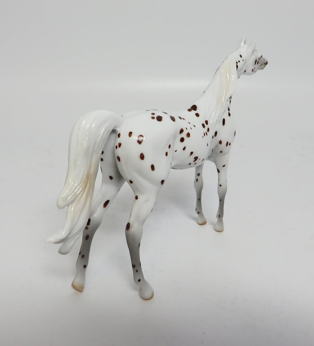 YULETIDE-LE-4 BROWN SPECKLED APPALOOSA ARABIAN CHIP WHS 2017