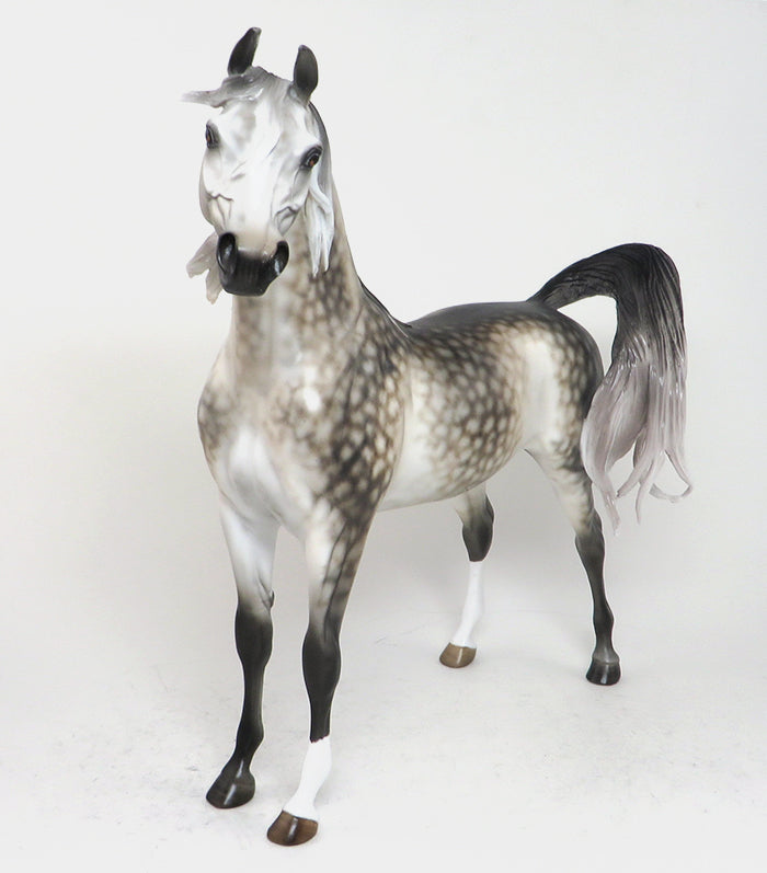 BEAUTY REVEALED - OOAK DAPPLE GREY ARABIAN MODEL HORSE - 12/4