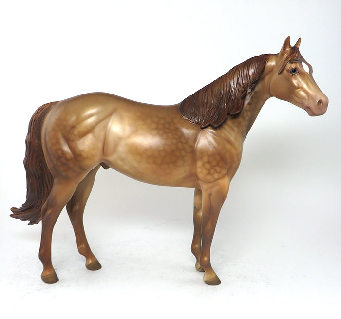 Bronze Warrior Custom ISH