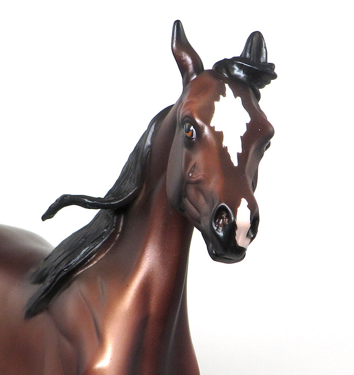 SWOOZIE - OOAK BAY ARABIAN YEARLING MODEL HORSE - 1/15