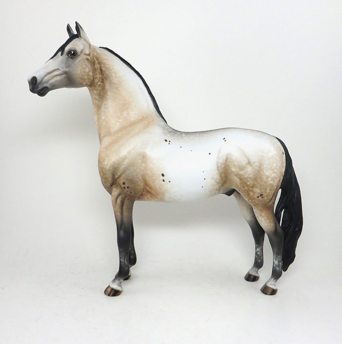 buckskin appaloosa morgan