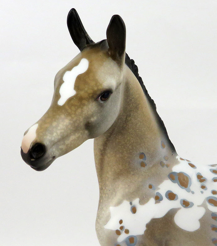 TANNENBAUM-OOAK BUCKSKIN APPALOOSA FOAL MODEL HORSE 12/16