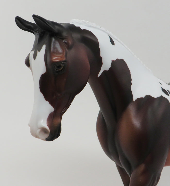 LIST MY ASSETS - BAY PINTO PALOUSE MODEL HORSE - LE3 - 9/30
