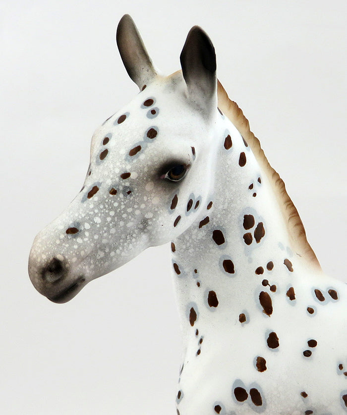 A LITTLE SPICE-OOAK APPALOOSA FOAL MODEL HORSE 12/16