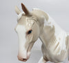 STAR LIGHT-OOAK PERLINO TABIANO TENNESSEE WALKER WHS 2017