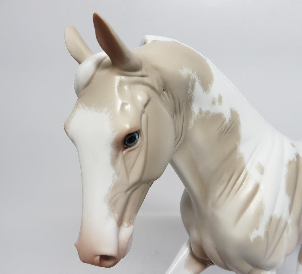 STAR LIGHT-OOAK PERLINO TABIANO TENNESSEE WALKER WHS 2017