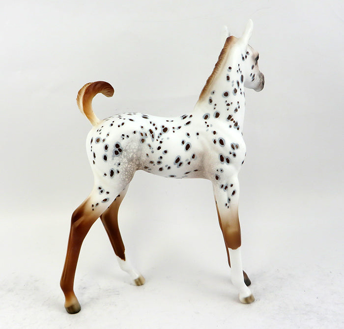 A LITTLE SPICE-OOAK APPALOOSA FOAL MODEL HORSE 12/16