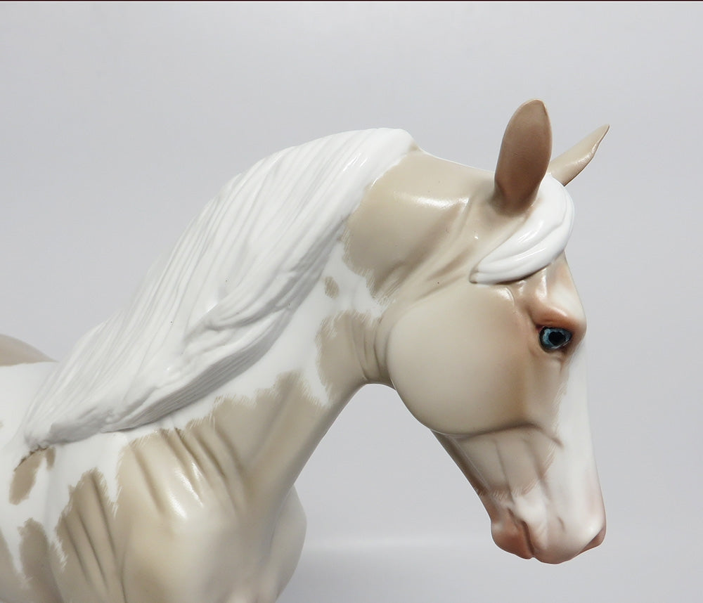 STAR LIGHT-OOAK PERLINO TABIANO TENNESSEE WALKER WHS 2017