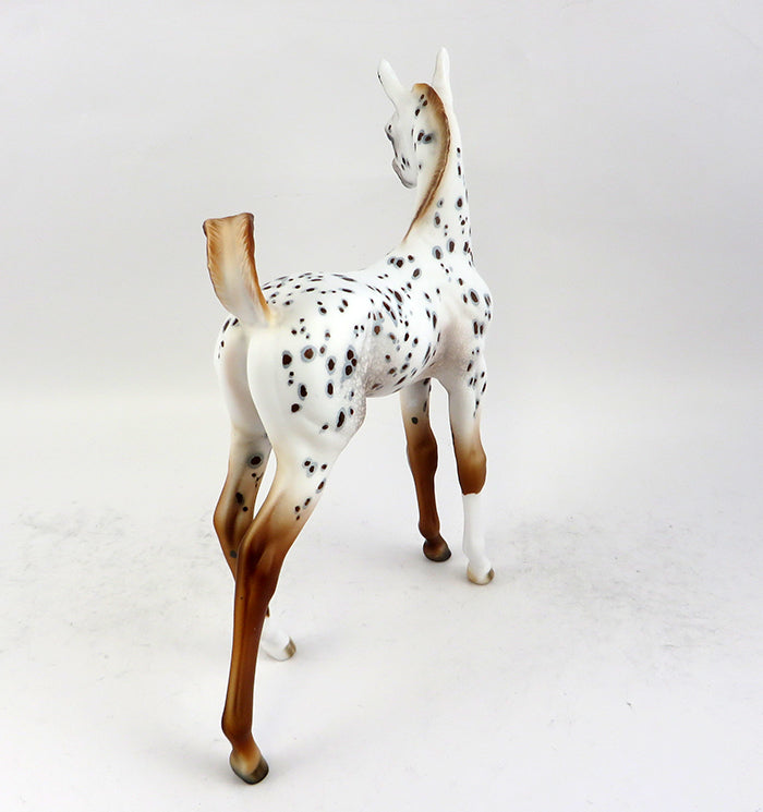 A LITTLE SPICE-OOAK APPALOOSA FOAL MODEL HORSE 12/16