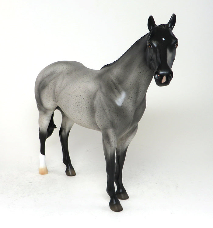 Blue Roan