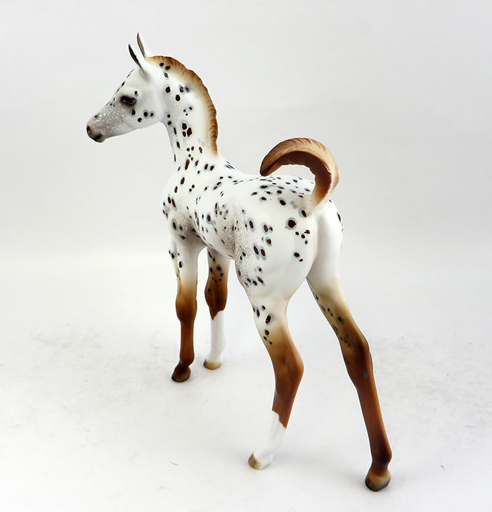 A LITTLE SPICE-OOAK APPALOOSA FOAL MODEL HORSE 12/16