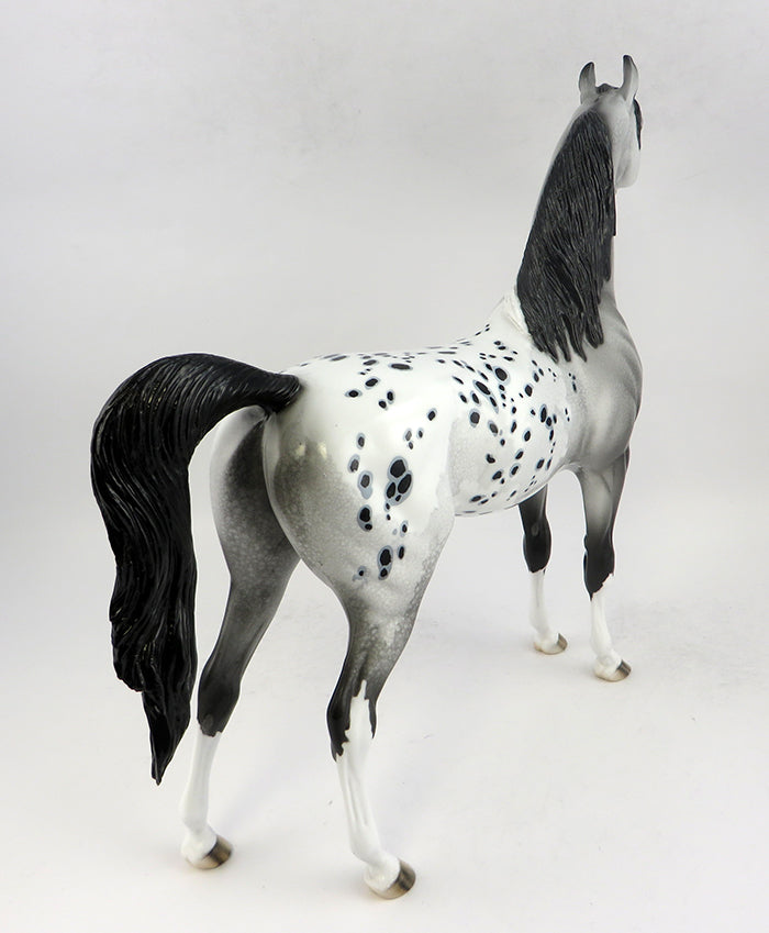 Appaloosa