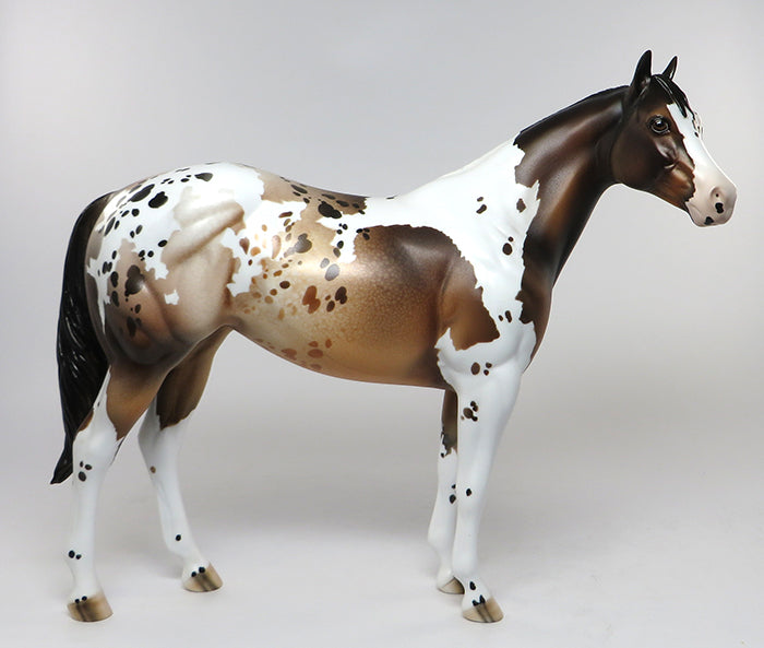 aussie bay pintaloosa