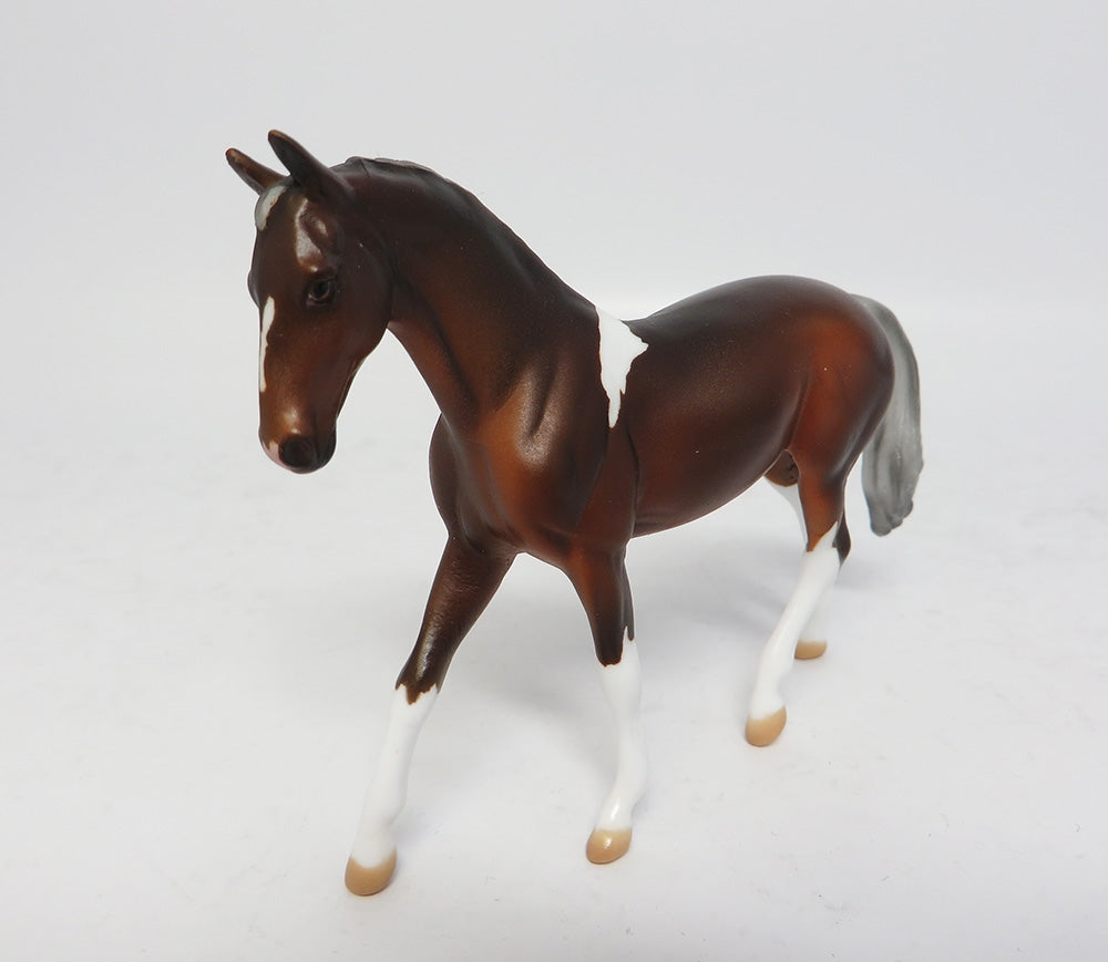 SNOW SONG-LE-15 DARK CHESTNUT PAINT WARM BLOOD CHIP WHS 2017