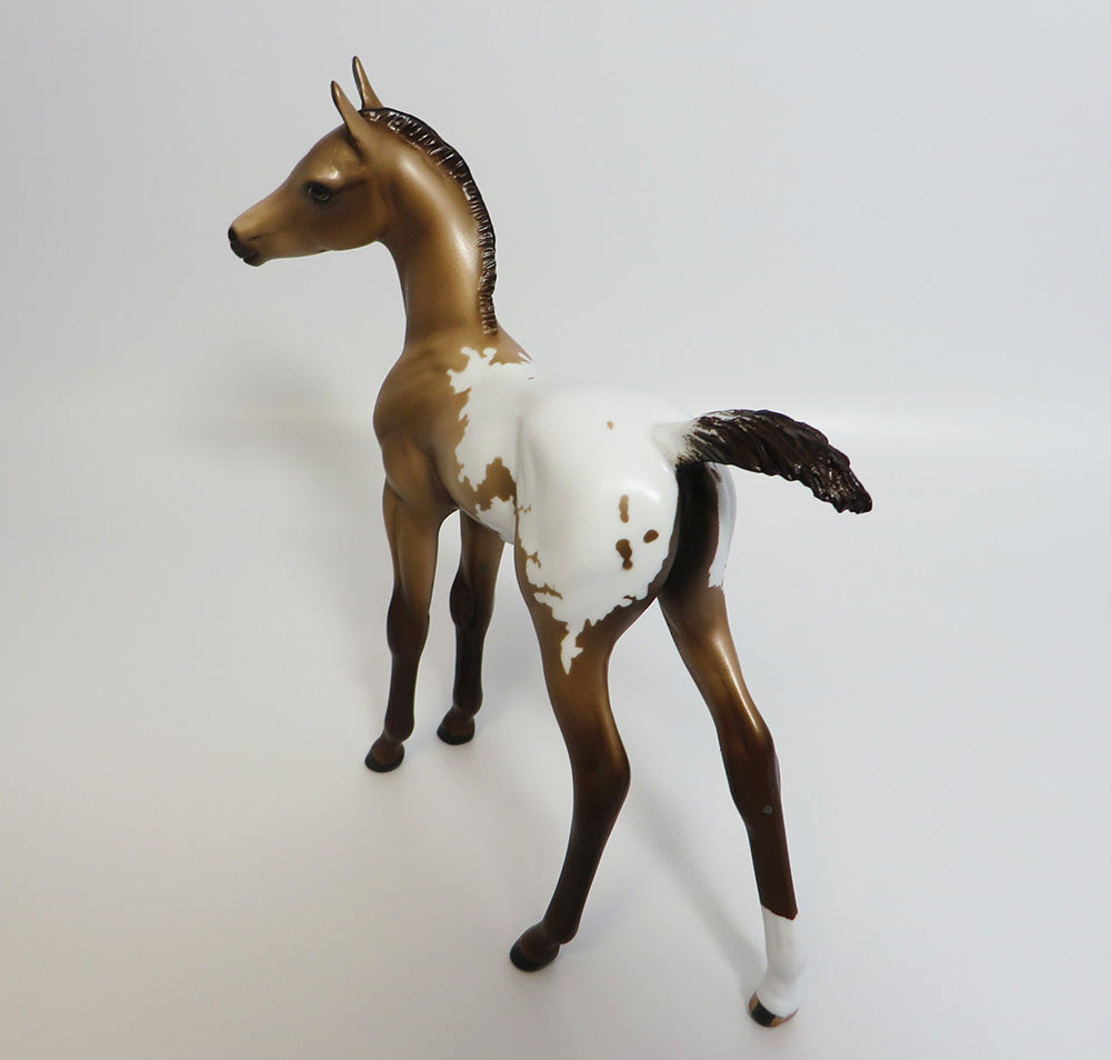 ICE-CHAMPAGNE ICE BLANKET APPALOOSA FOAL MODEL HORSE  5/22/17