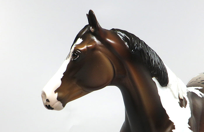 AUSSIE-OOAK BAY PINTALOOSA ISH MODEL HORSE 7/14