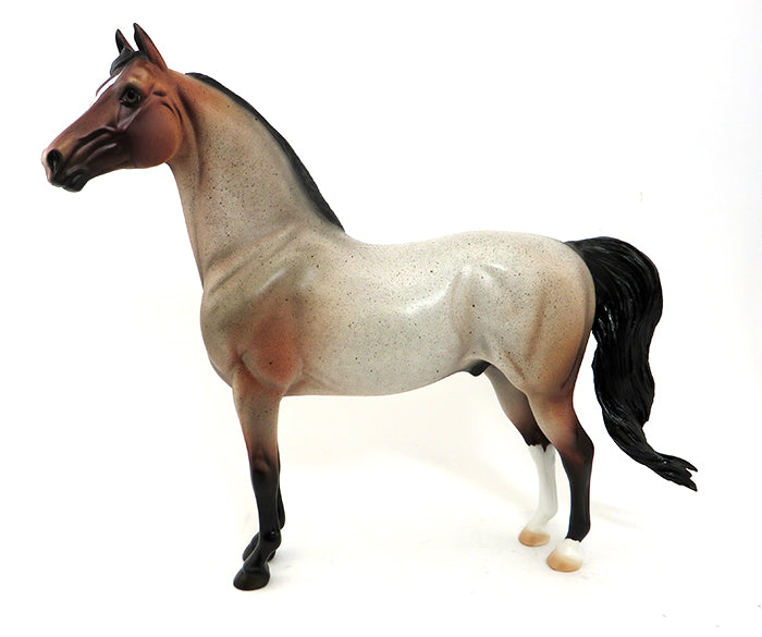 CENTERPIECE - OOAK BAY ROAN MORGAN - 9/24