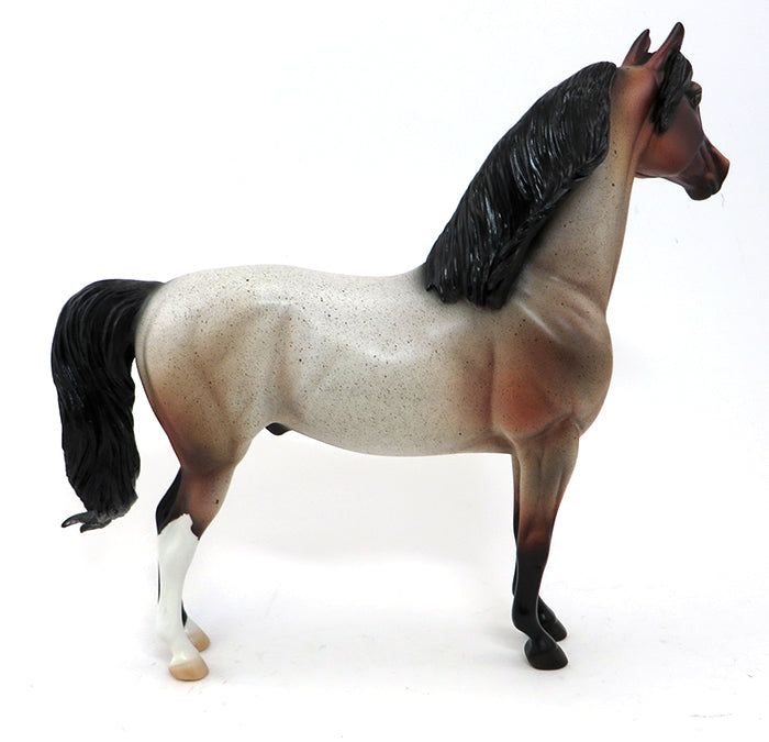 CENTERPIECE - OOAK BAY ROAN MORGAN - 9/24